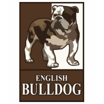 English Bulldog Shirt by breedtees English Bulldog Shirt