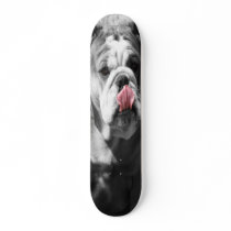 english bulldog skateboards by jvinnyg english bulldog skateboards