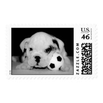 English Bulldog Soccer Puppy Postage Stamps