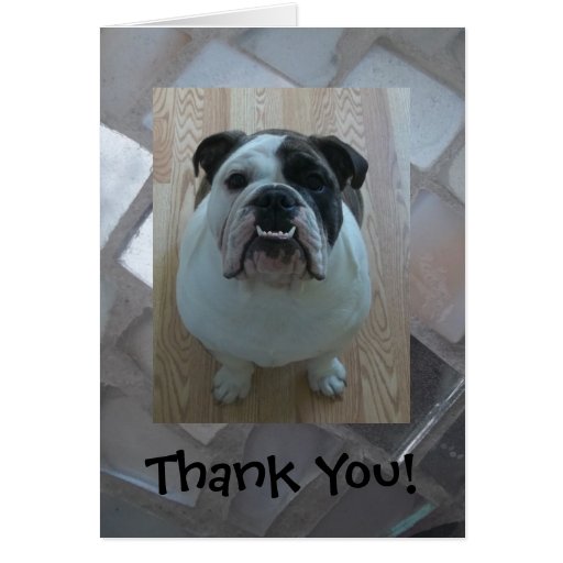 English bulldog Thank You note cards! Zazzle