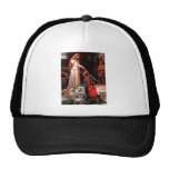 English Bulldog Trio - The Accolade Mesh Hat