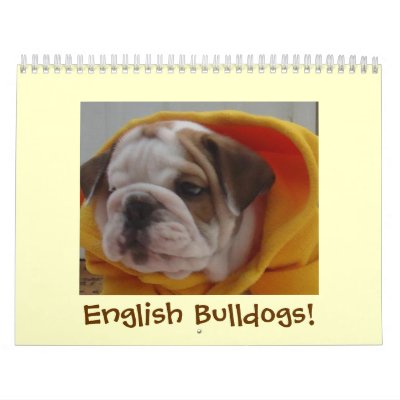 English Bulldogs Calendar!