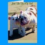 English Bulldogs Just The Two Of Us! cards