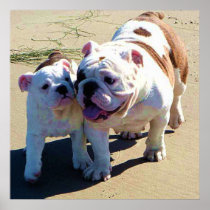English Bulldogs (Just The Two Of Us)  Poster