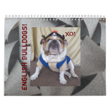 English Bulldogs & Puppies Calendar!