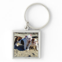 English Bulldogs Puppy Love! Key Chain