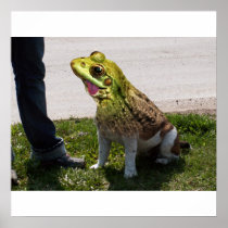 English bullfrog poster