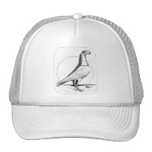 English Carrier Pigeon1978 Mesh Hat