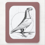 English Carrier Pigeon1978 Mousepads