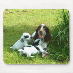 English Cocker Spaniel and Puppies Mousepad mousepad