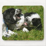 English Cocker Spaniel Puppies Mousepad