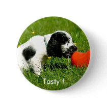 English Cocker Spaniel Puppy with Red Clog Pins