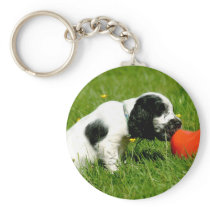 English Cocker Spaniel Puppy with Red Clog Keychains