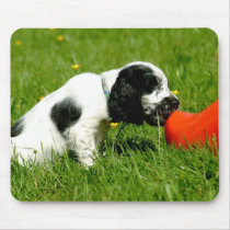 English Cocker Spaniel Puppy with Red Clog Mouse Mats