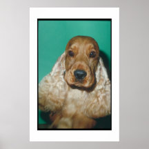 English Cocker Spaniel Red Poster