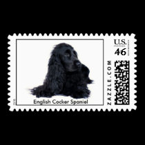 English Cocker Spaniel stamp stamps