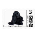 English Cocker Spaniel stamp