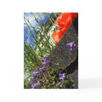 English Cottage Garden greetings card