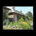 English Cottage Postcard