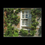 English Cottage Postcard