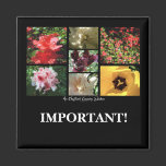 English Country Garden Montage | Magnet magnets