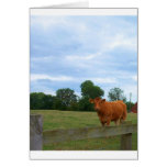English countryside photos cards