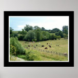 English Countryside posters