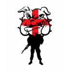 English flag-English soldier shirts