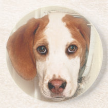 English Foxhound Soapstone Coaster coasters