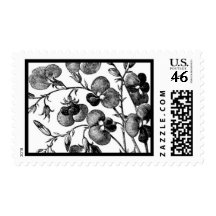 English Garden A by Ceci New York Postage