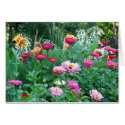 English Garden Florals cards