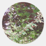 English Garden Round Sticker