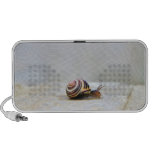 English Garden Snail on a Rock Mp3 Speaker