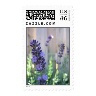 English Lavender stamp