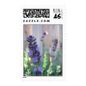 English Lavender postage by phazxero English Lavender postage
