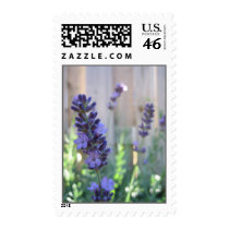 English Lavender postage by phazxero English Lavender postage