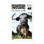 English Longhorn Cattle Cow - Medium Postage
