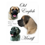 English Mastiff Art Prints