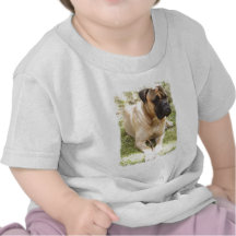 English Mastiff Baby T-Shirt