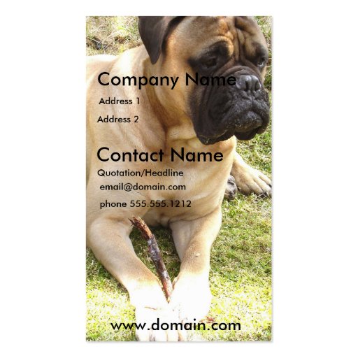 English Mastiff Dog Business Card (front side)