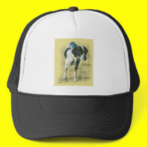 English Pointer hats