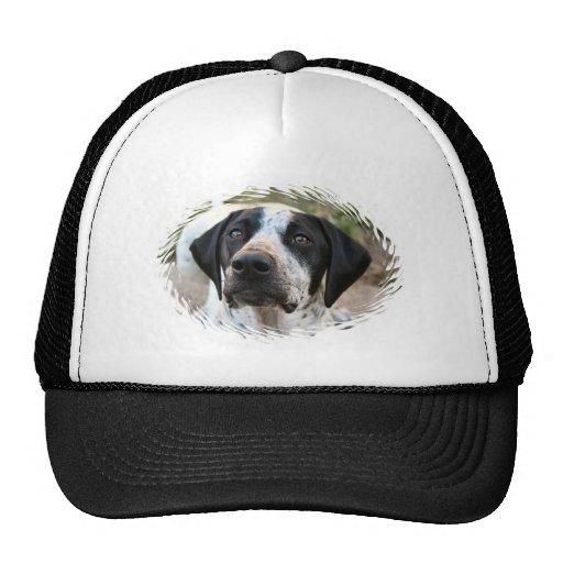 English Pointer Hats