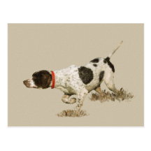 English Pointer Post Cards