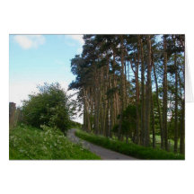 English Roadside and Rumi Sympathy Card