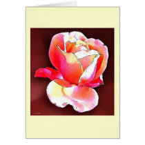 English Rose cards