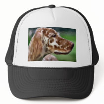 English Setter Art Gifts Hats