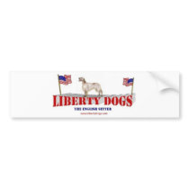English Setter bumper stickers by emgtay English Setter bumper stickers
