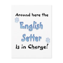 English Setter Charge postcards by GreyWolfCreation English Setter Charge postcards