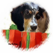 English Setter Christmas Gifts Ornament photo sculptures
