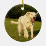 English Setter Christmas Ornaments